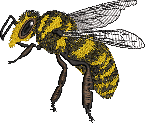 Bee