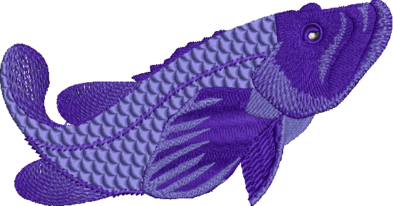 Colorway Reef Fish