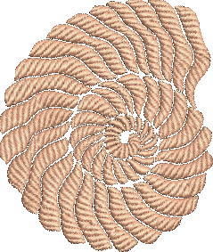 Seashell textured